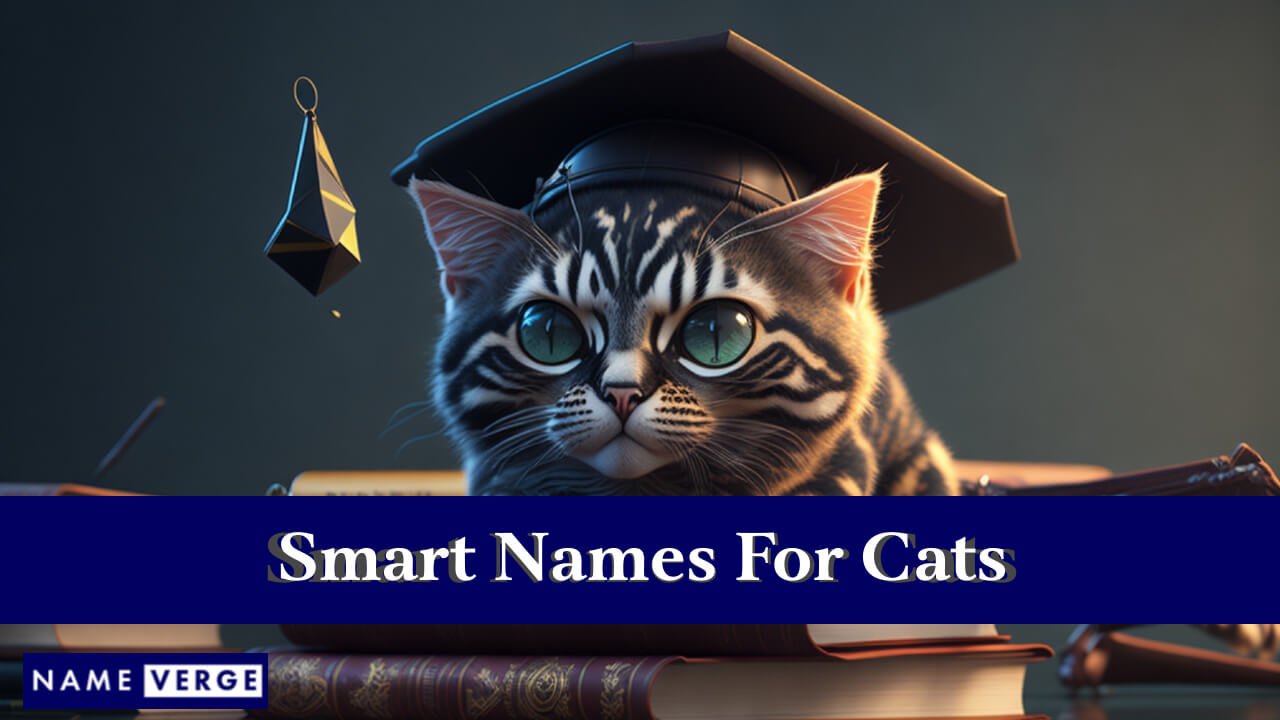 Smart Names For Cats