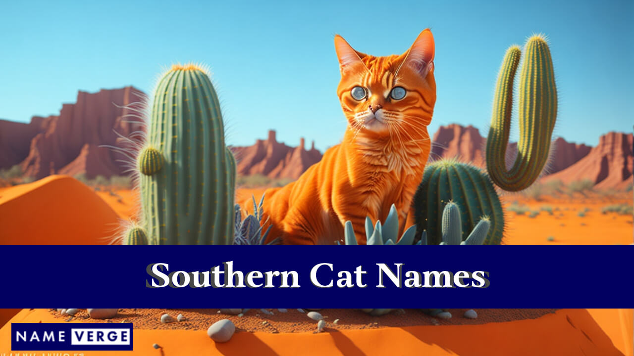 Southern Cat Names