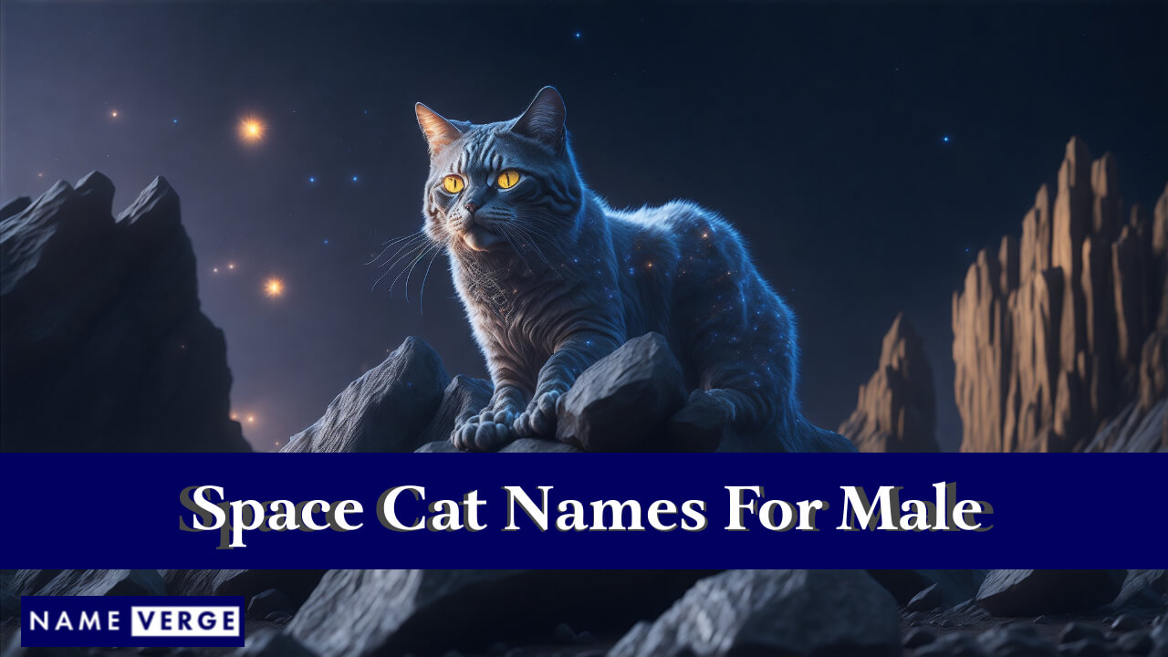 Space Cat Names For Male