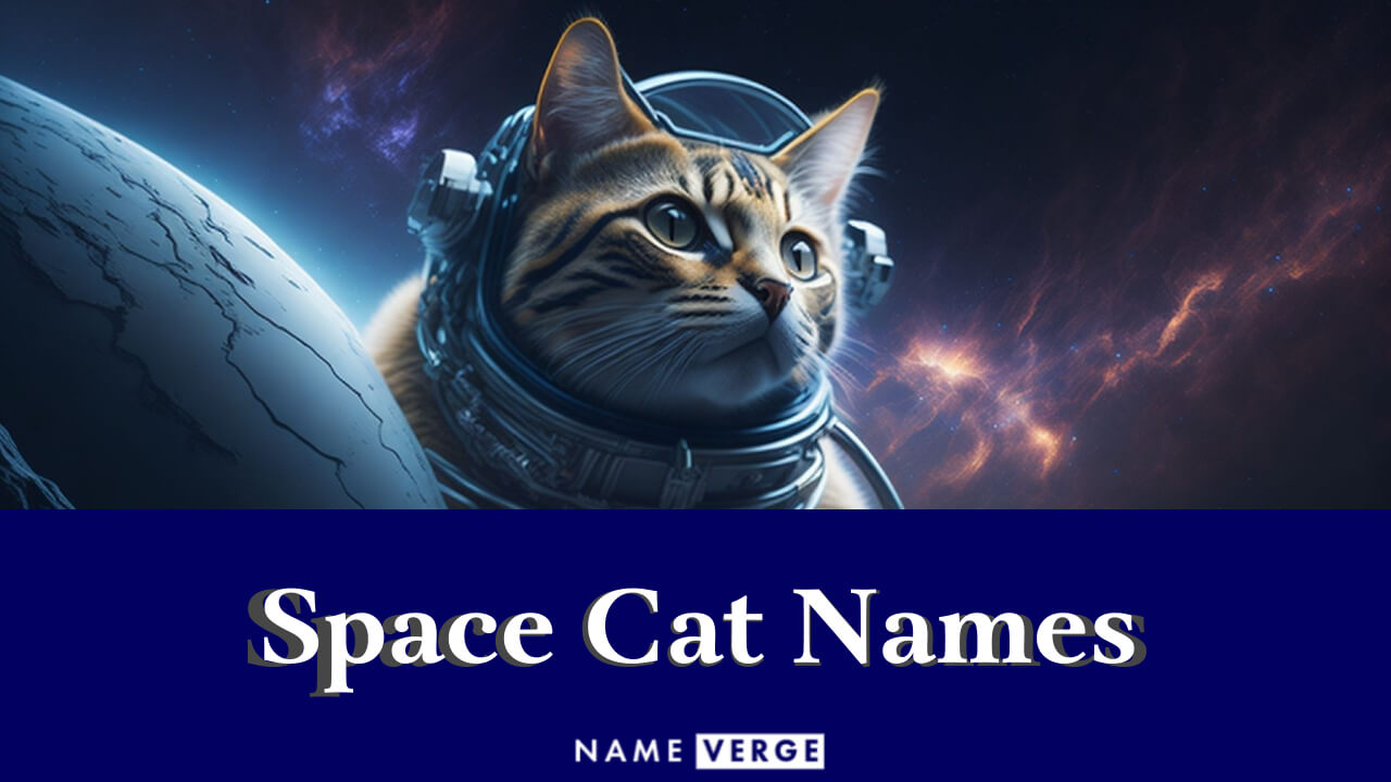Space Cat Names: 300+ Cool Space Themed Cat Names