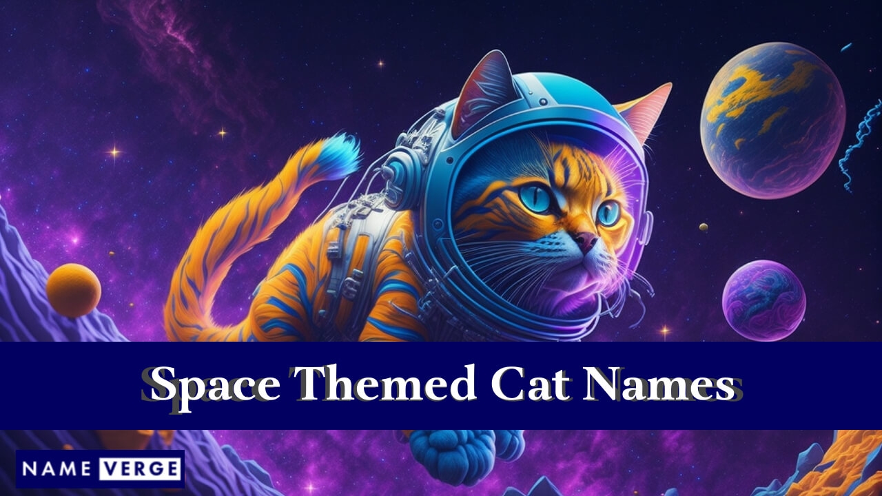 Space Themed Cat Names