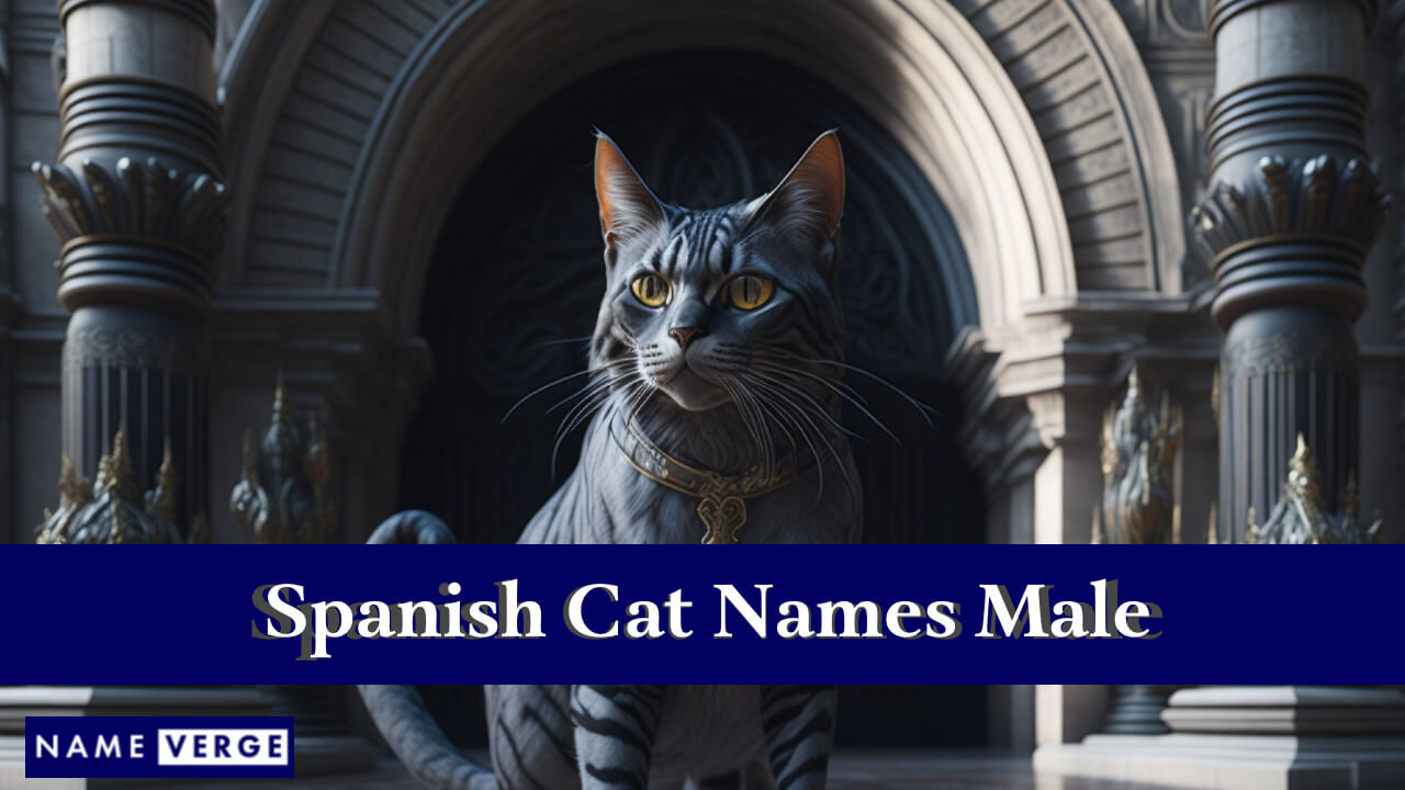 Spanish Cat Names Male
