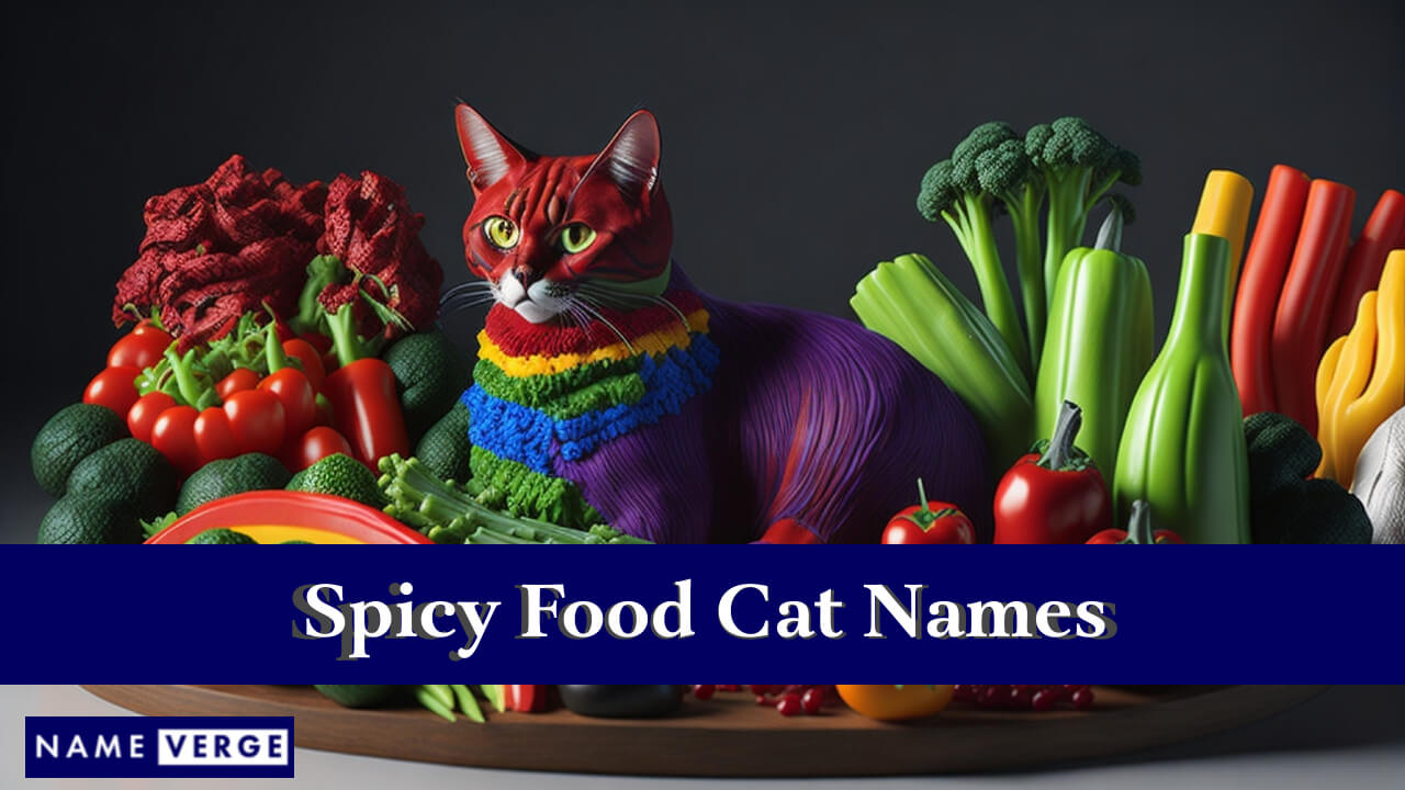 Spicy Food Cat Names