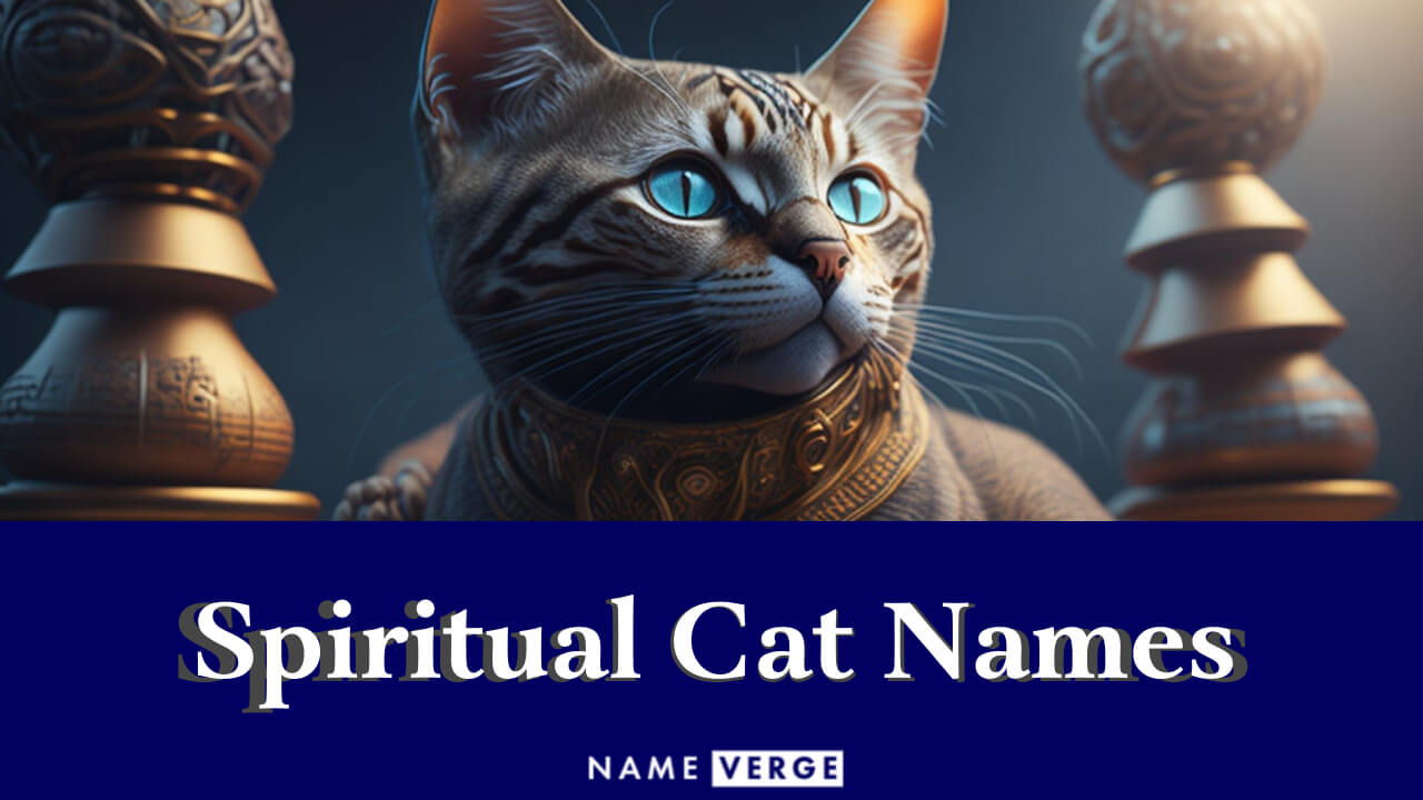 Spiritual Cat Names: 292+ Best Spiritual Names For Cats
