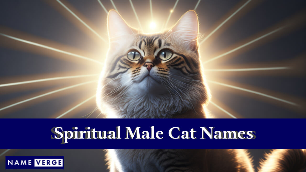 Spiritual Male Cat Names