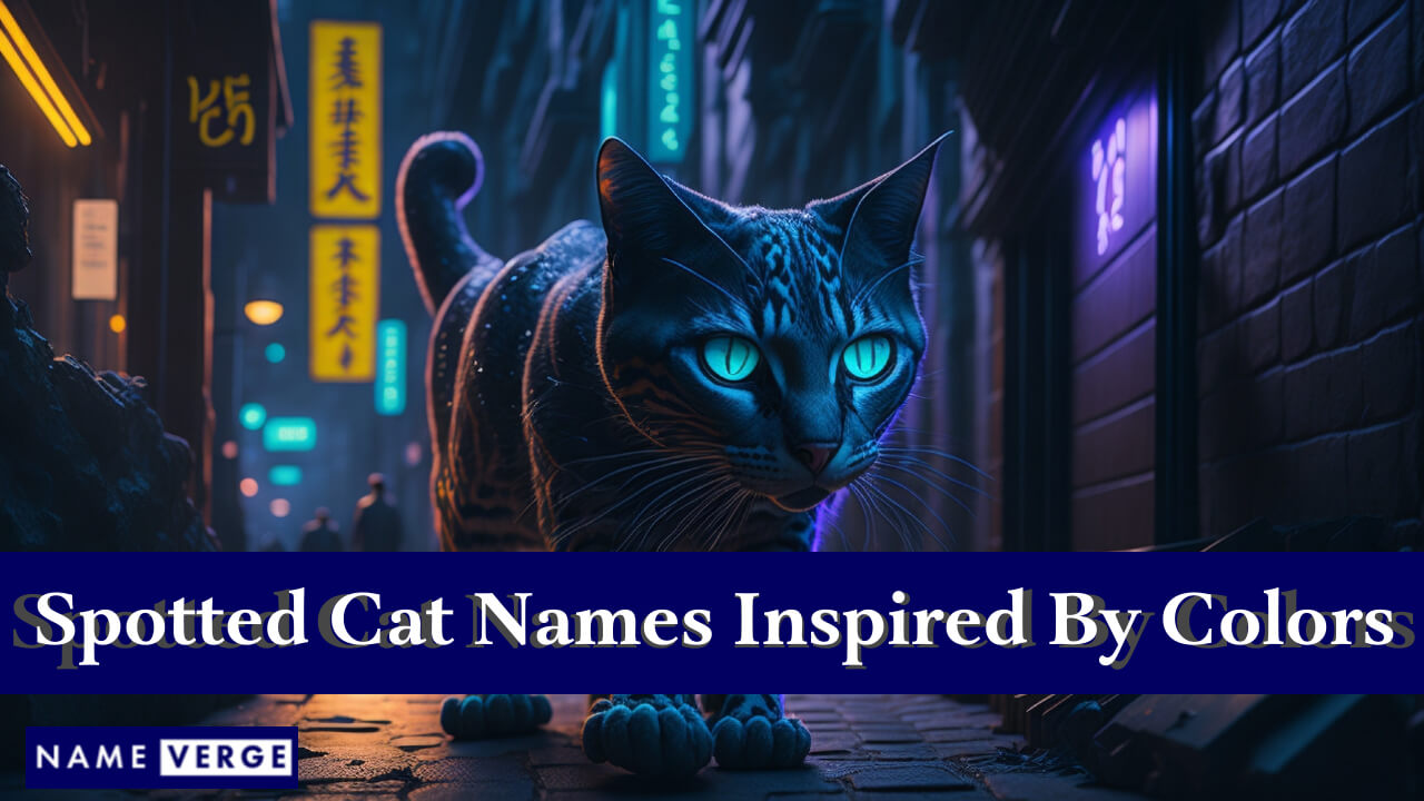Spotted Cat Names Inspired By Colors