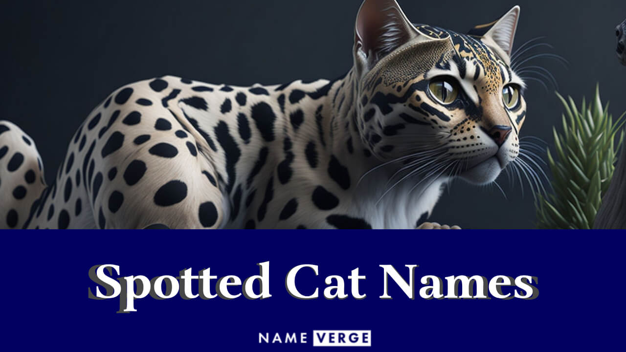 Spotted Cat Names: 220 Best Names For Your Spotted Cat
