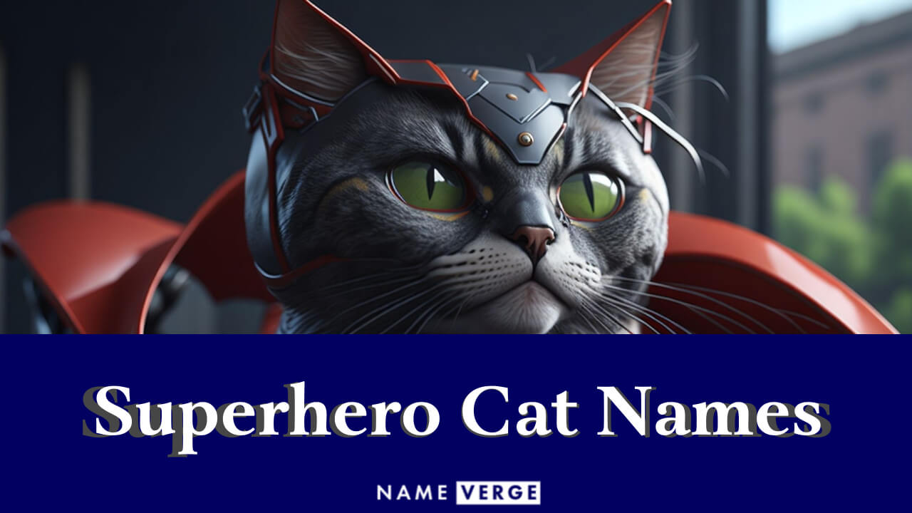 Superhero Cat Names: 240 Cool Superhero Names For Your Cat