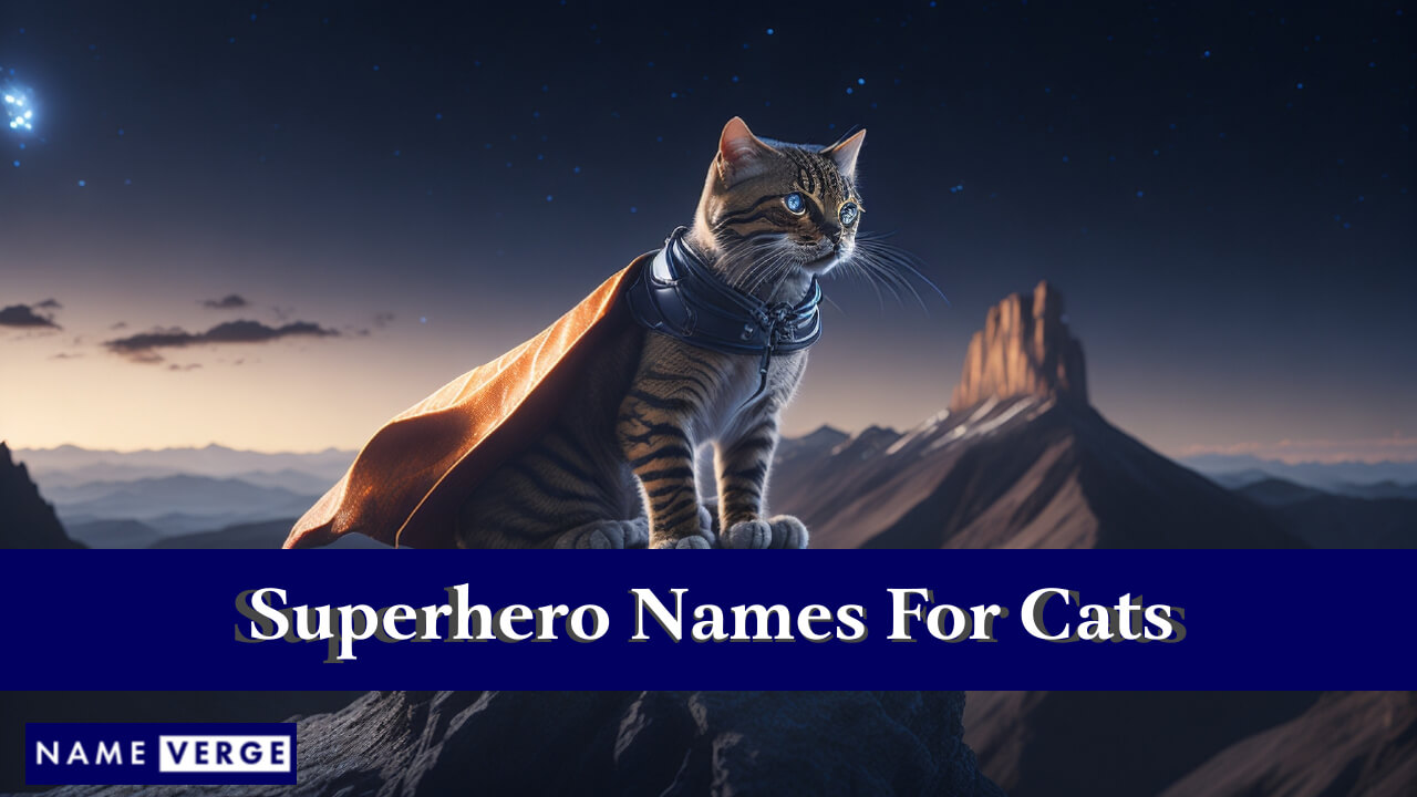 Superhero Names For Cats
