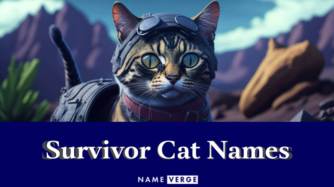 Survivor Cat Names: 232 Names That Mean Survivor Or Fighter