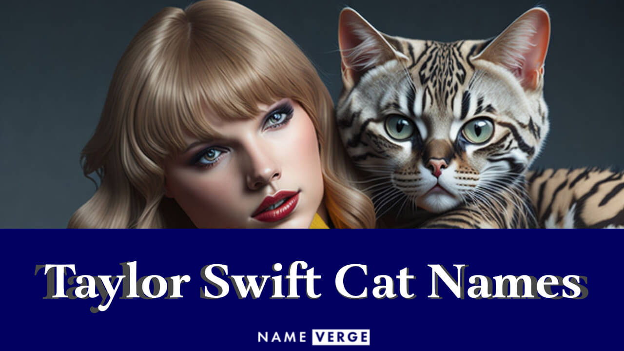 Taylor Swift Cat Names: 177 Cool Taylor Swift-Inspired Names