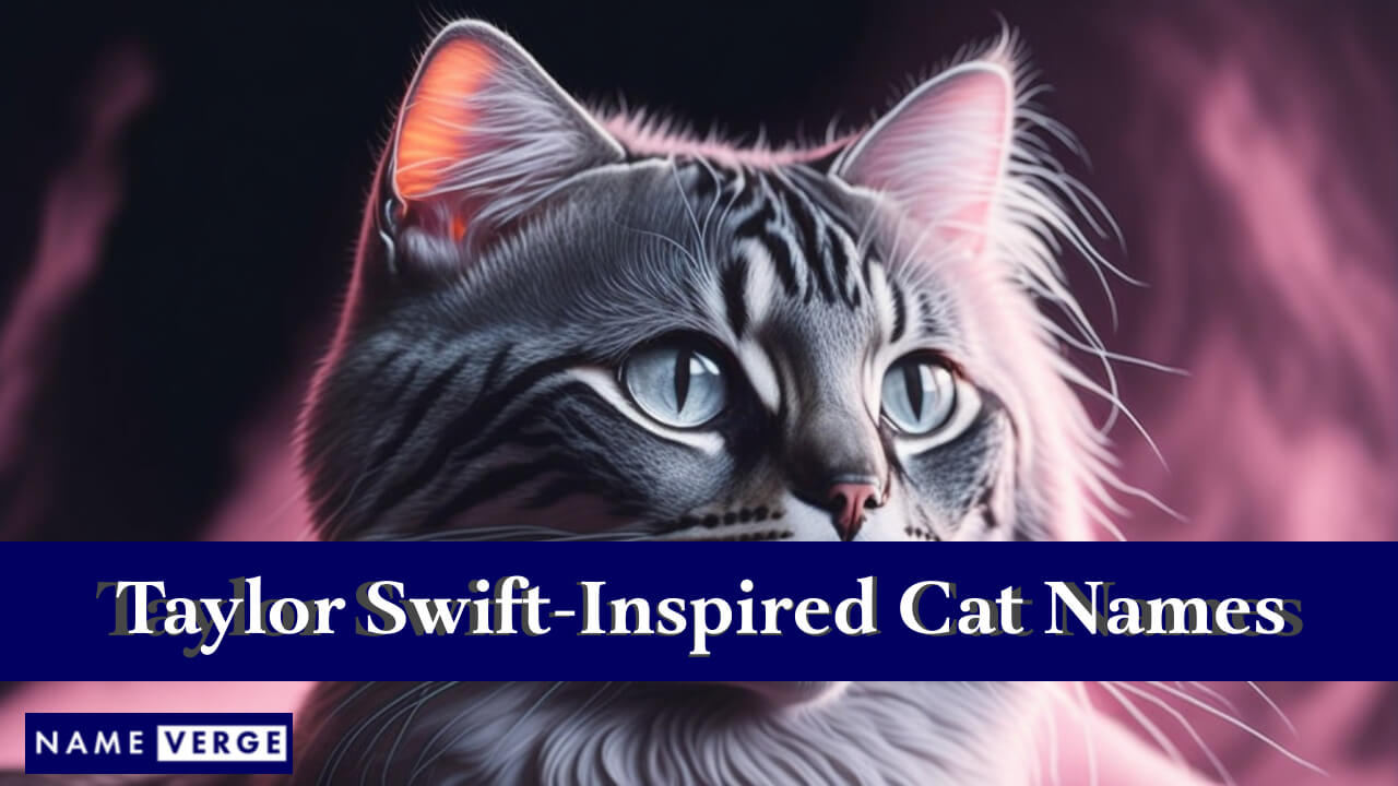 Taylor Swift Inspired Cat Names