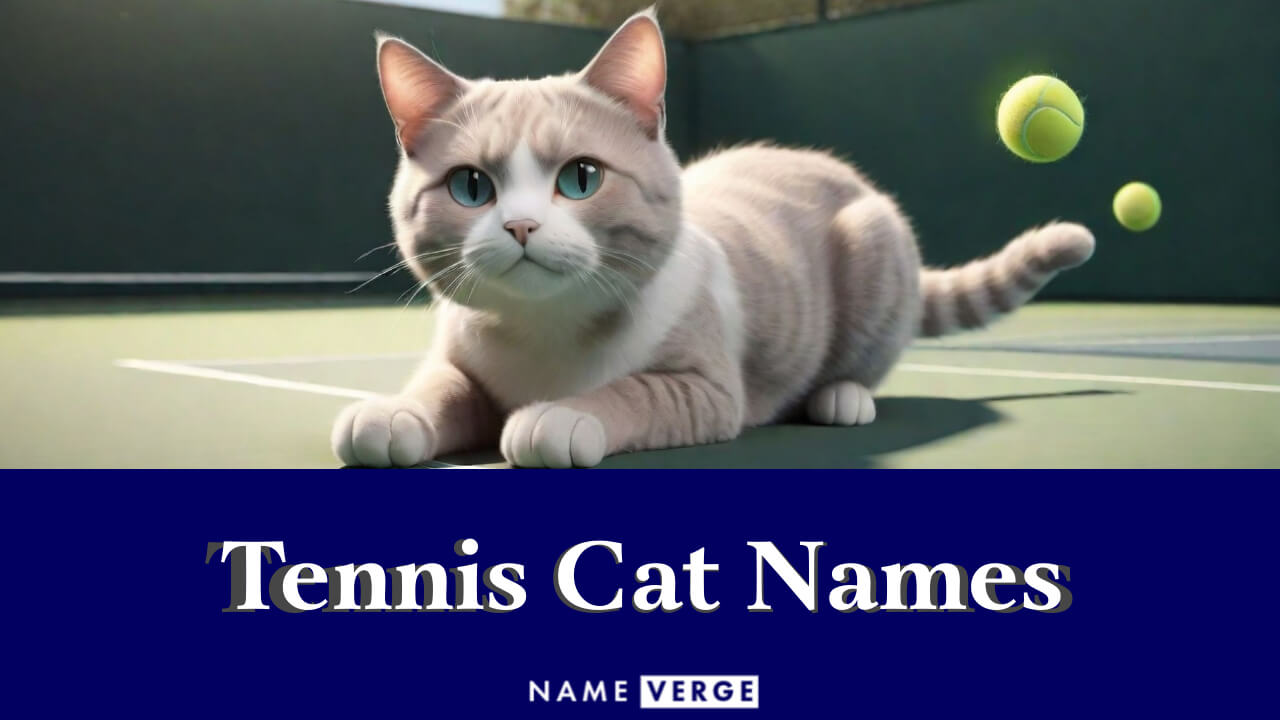 Tennis Cat Names: 222+ Best Tennis-Inspired Name Ideas