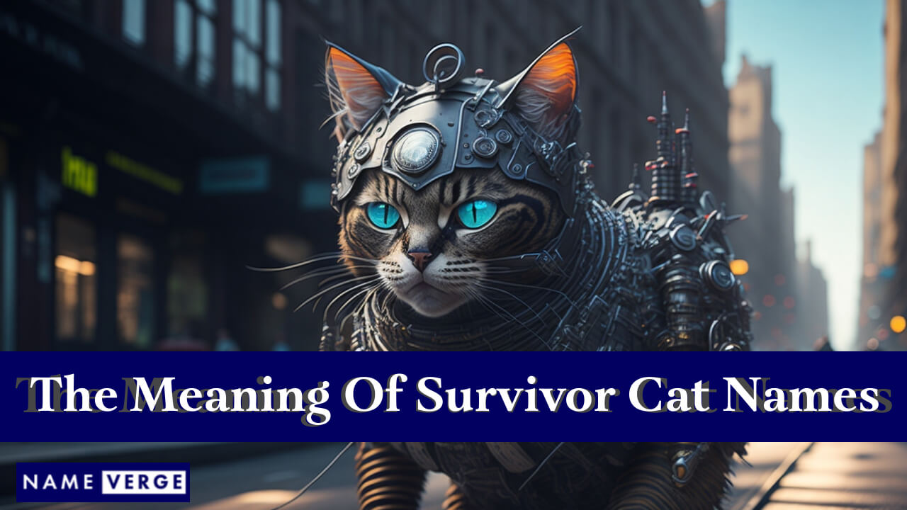 The Meaning Of Survivor Cat Names