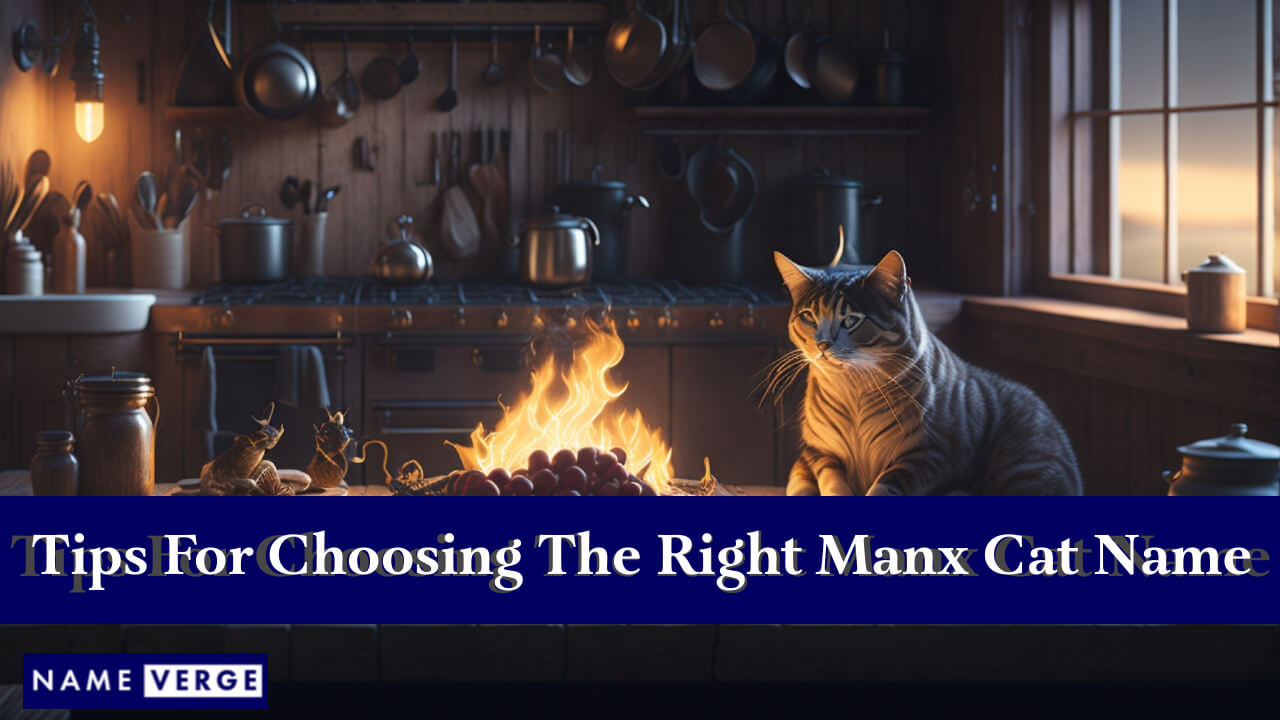 Tips For Choosing The Right Manx Cat Name