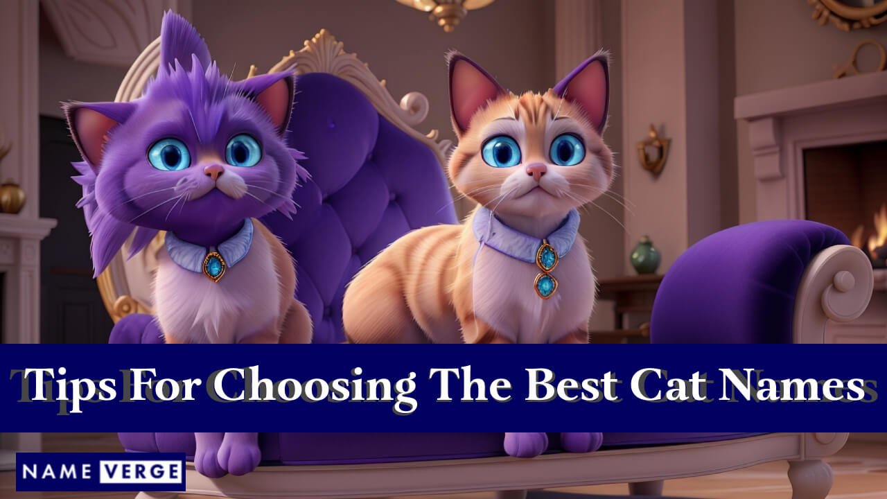 Tips For Choosing The Best Cat Names