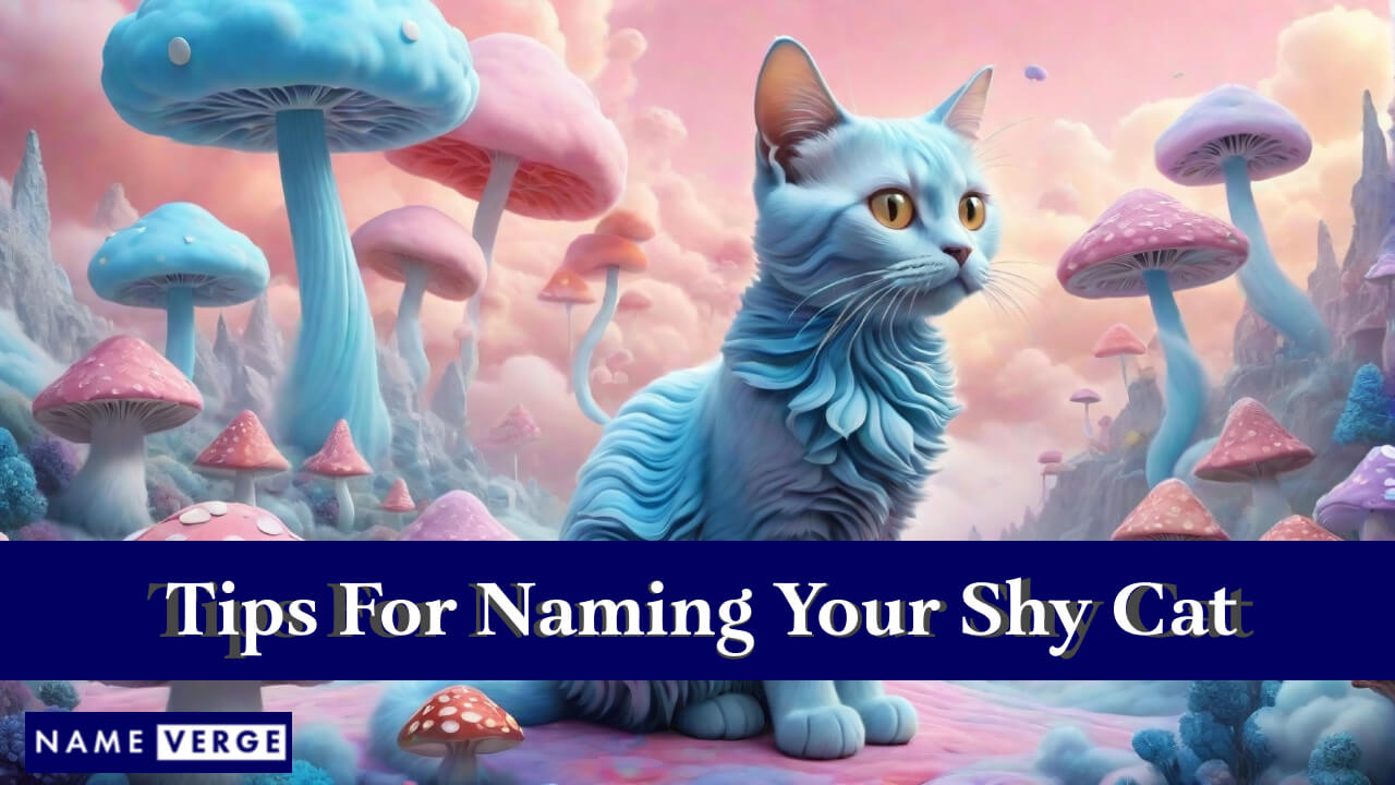 Tips For Naming Your Shy Cat