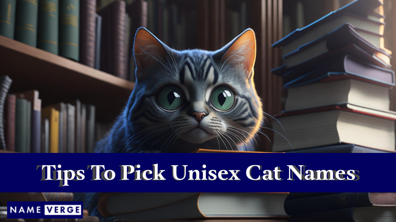 Tips To Pick Unisex Cat Names