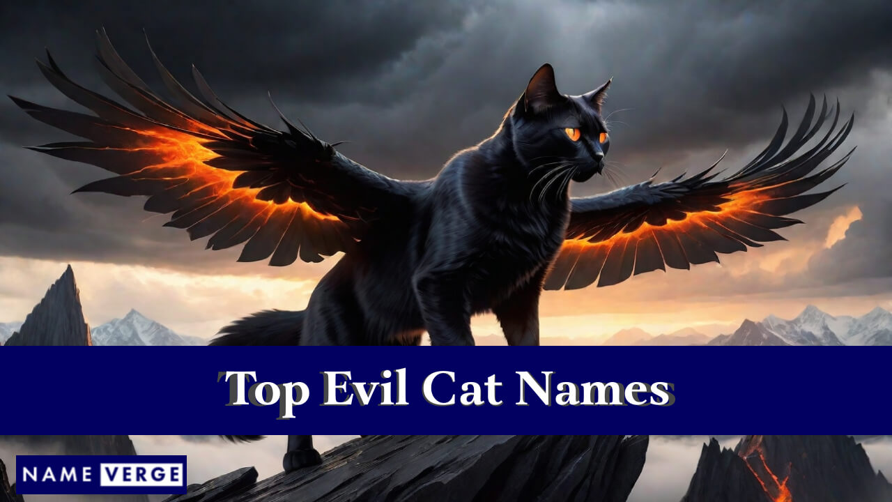 Top Evil Cat Names