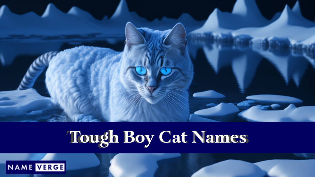 Tough Boy Cat Names