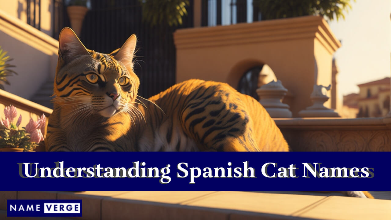 Understanding Spanish Cat Names