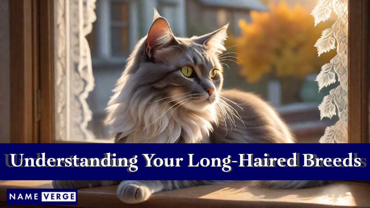 Understanding Your Long-Haired Breeds