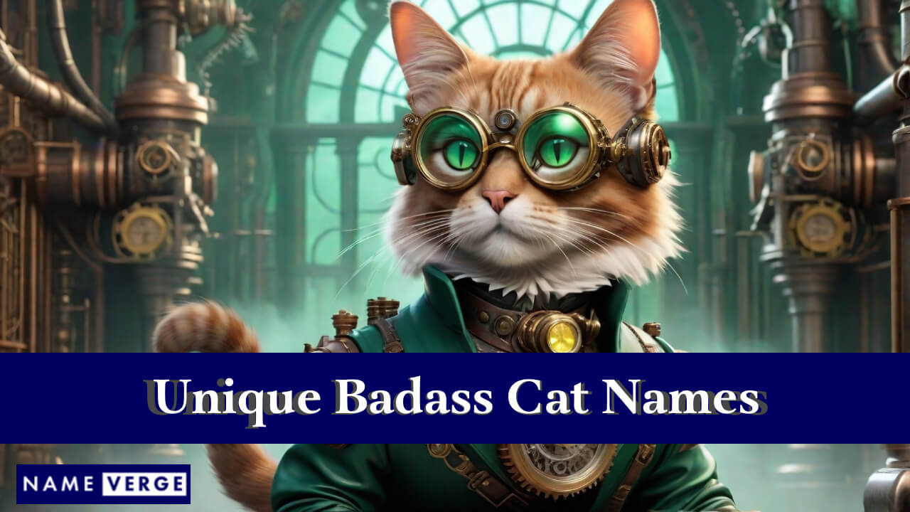 Unique Badass Cat Names