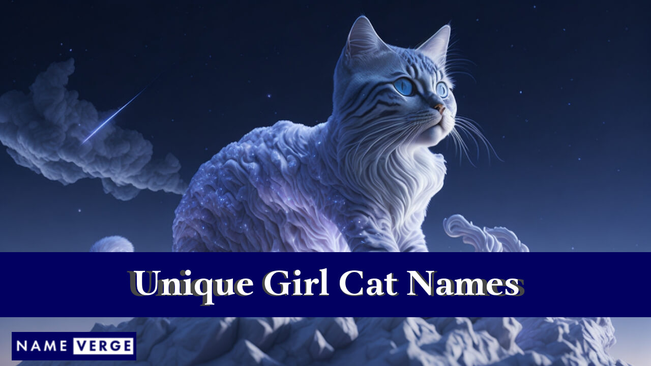 Unique Girl Cat Names