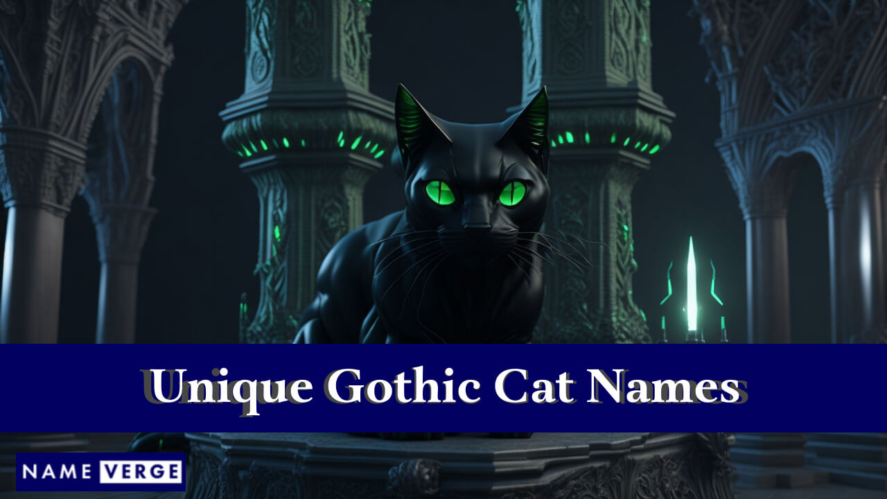 Unique Gothic Cat Names