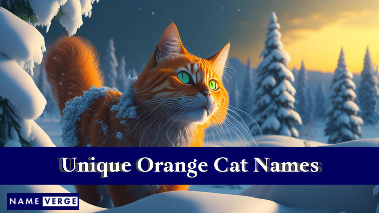 Unique Orange Cat Names