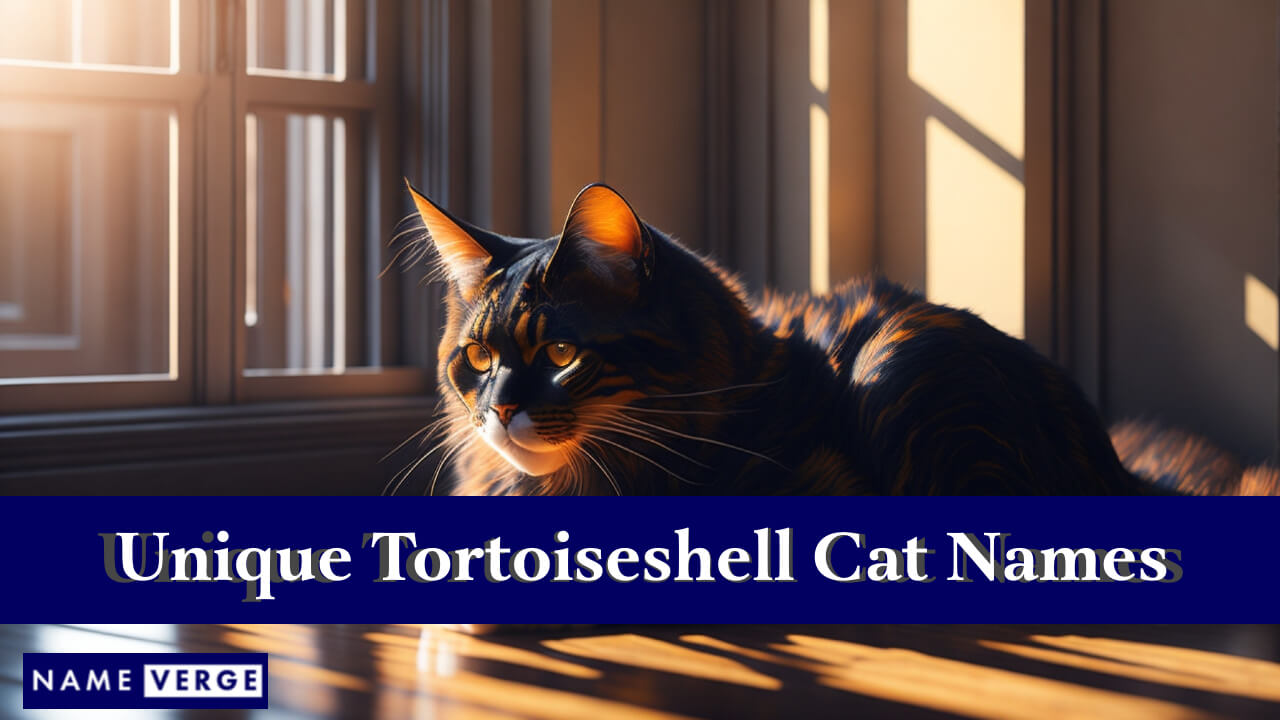 Unique Tortoiseshell Cat Names