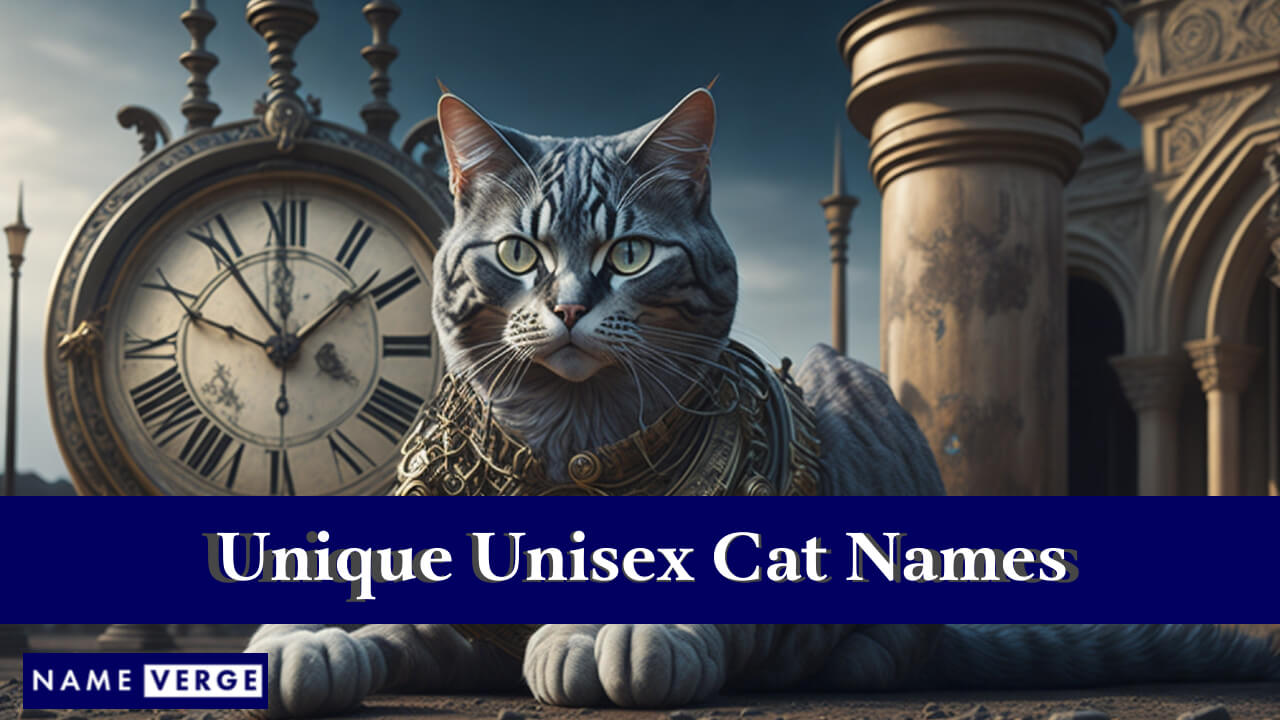Unique Unisex Cat Names