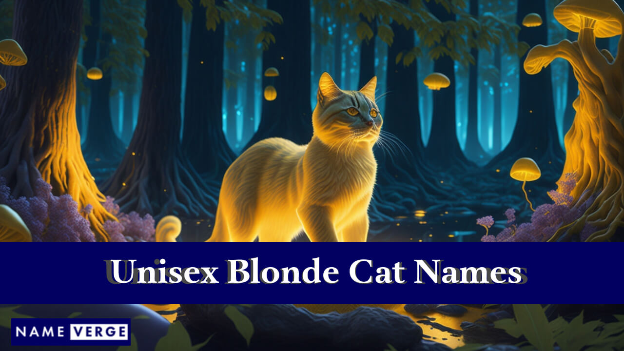 Unisex Blonde Cat Names