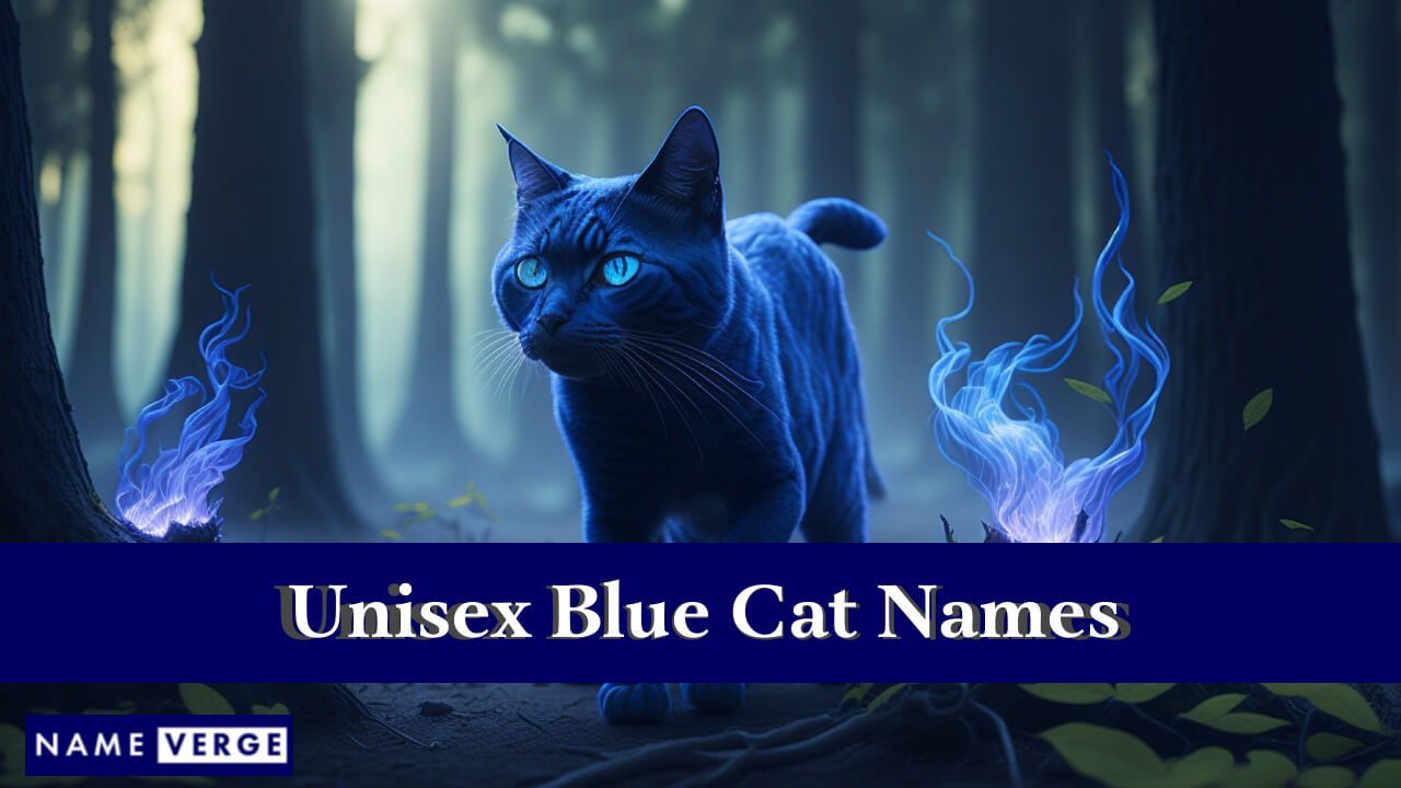 Unisex Blue Cat Names