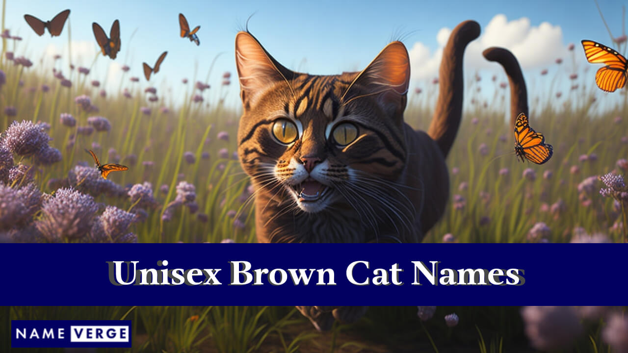 Unisex Brown Cat Names