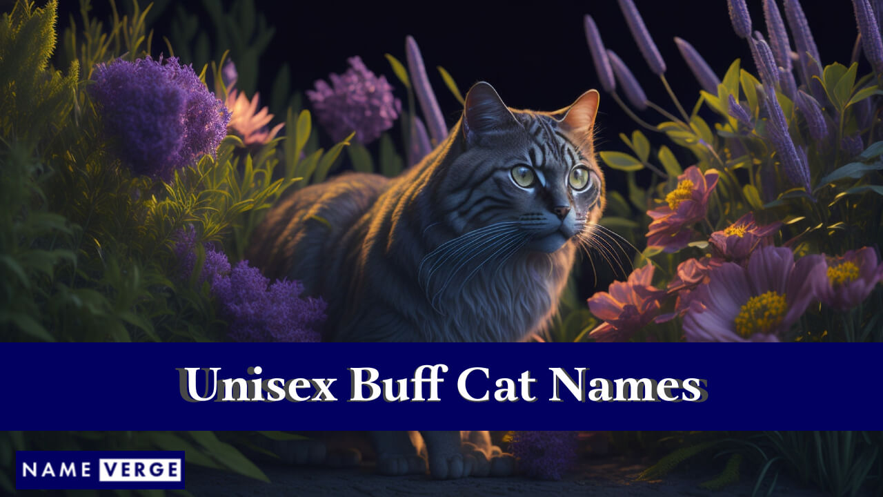 Unisex Buff Cat Names