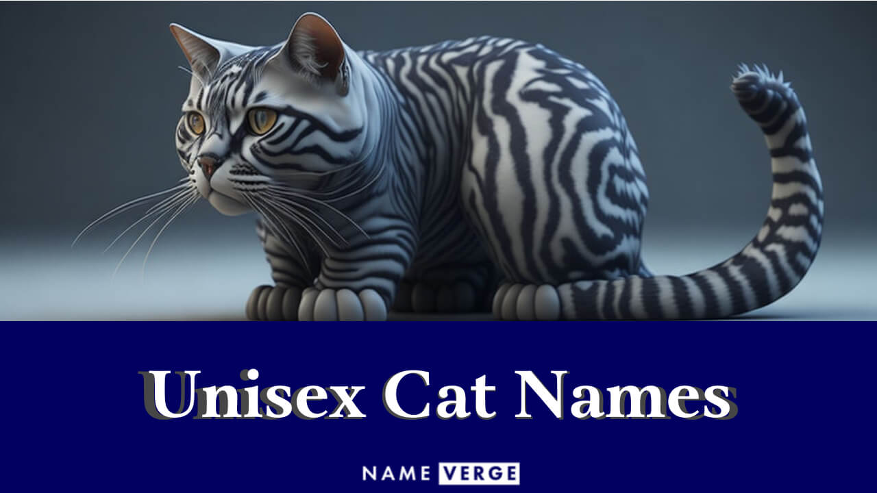 Unisex Cat Names: 399+ Gender-Neutral Names For Your Cat
