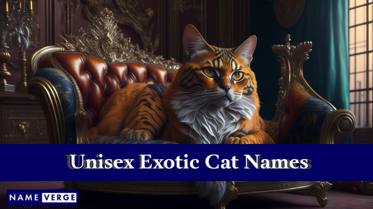 Unisex Exotic Cat Names