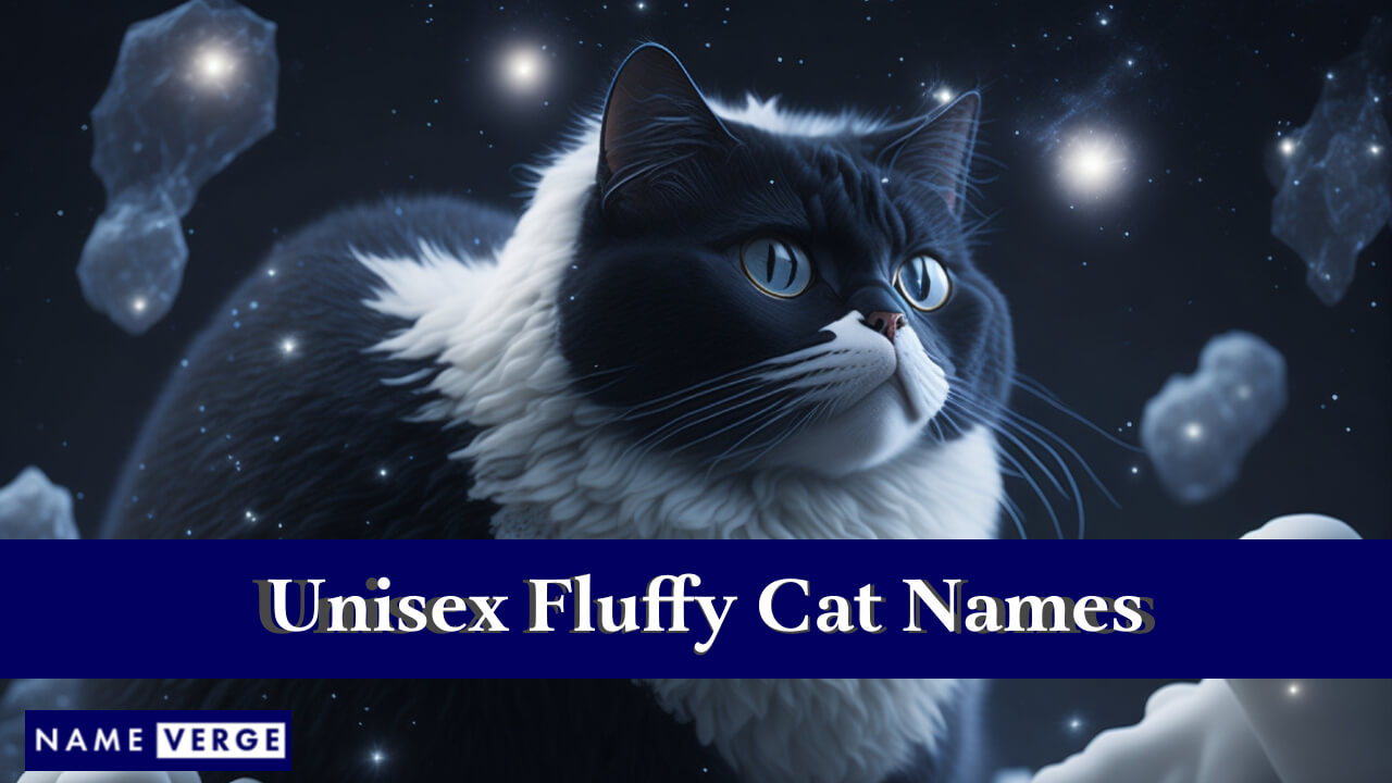 Unisex Fluffy Cat Names