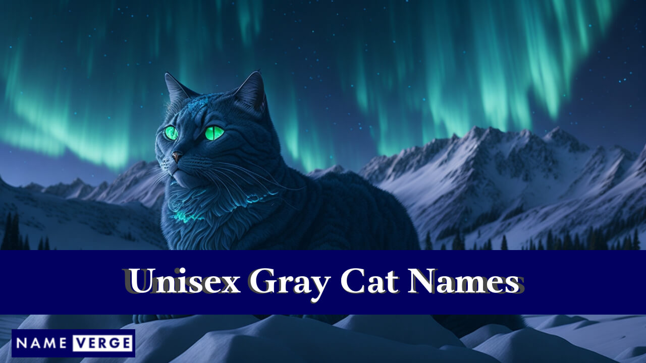 Unisex Gray Cat Names