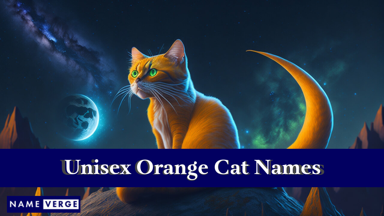 Unisex Orange Cat Names