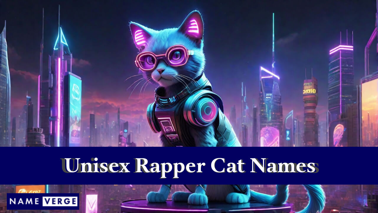 Unisex Rapper Cat Names