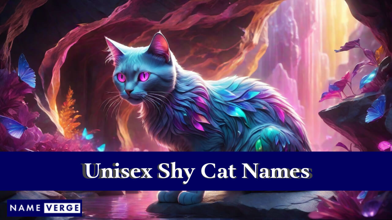 Unisex Shy Cat Names