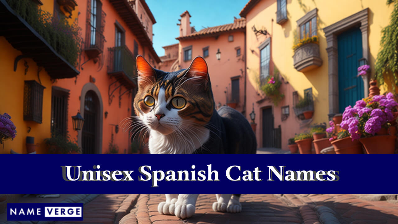 Unisex Spanish Cat Names