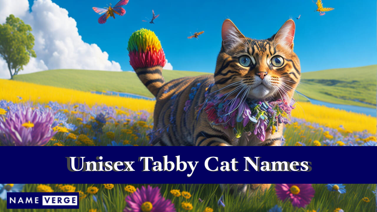 Unisex Tabby Cat Names