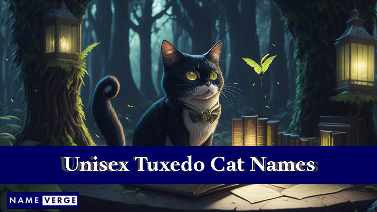 Unisex Tuxedo Cat Names