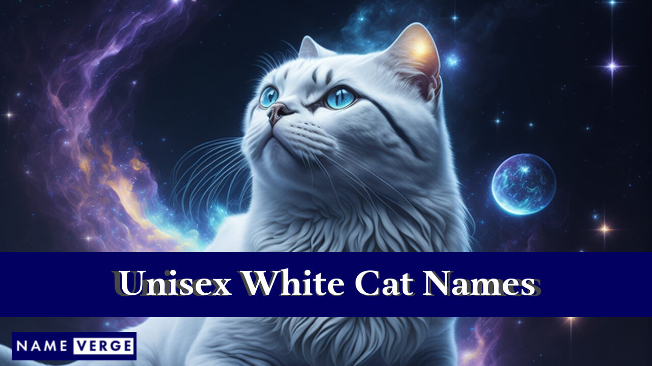 Unisex White Cat Names