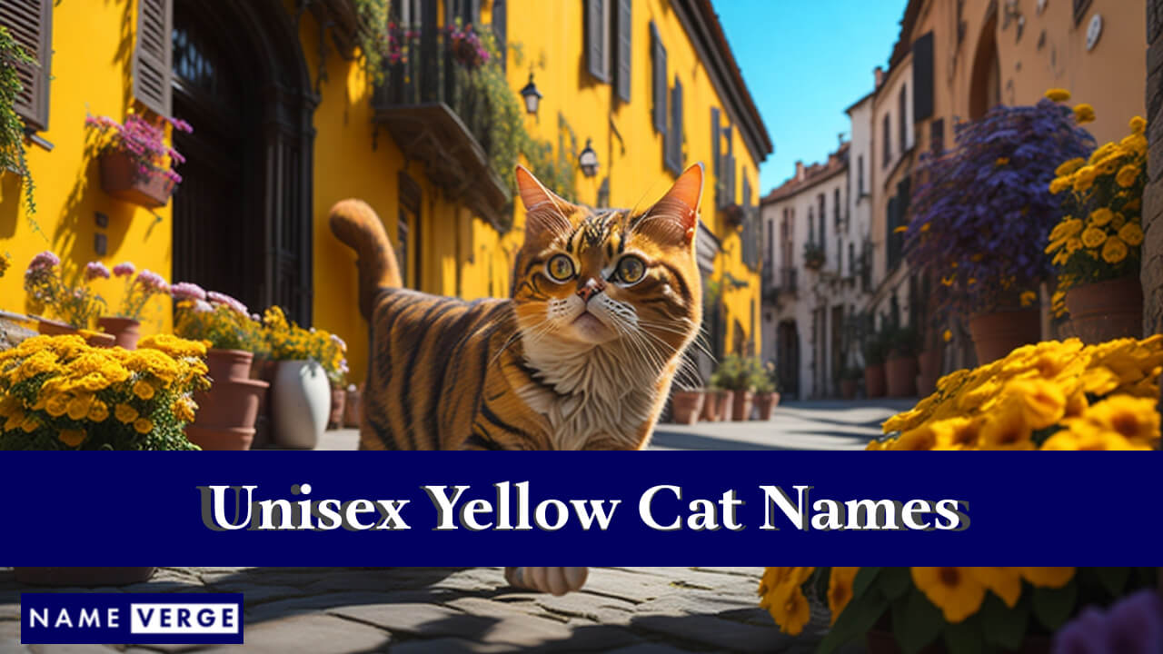 Unisex Yellow Cat Names