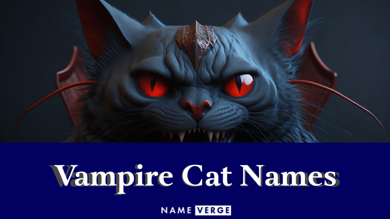 Vampire Cat Names: 150+ Vampire-Inspired Names For Cats