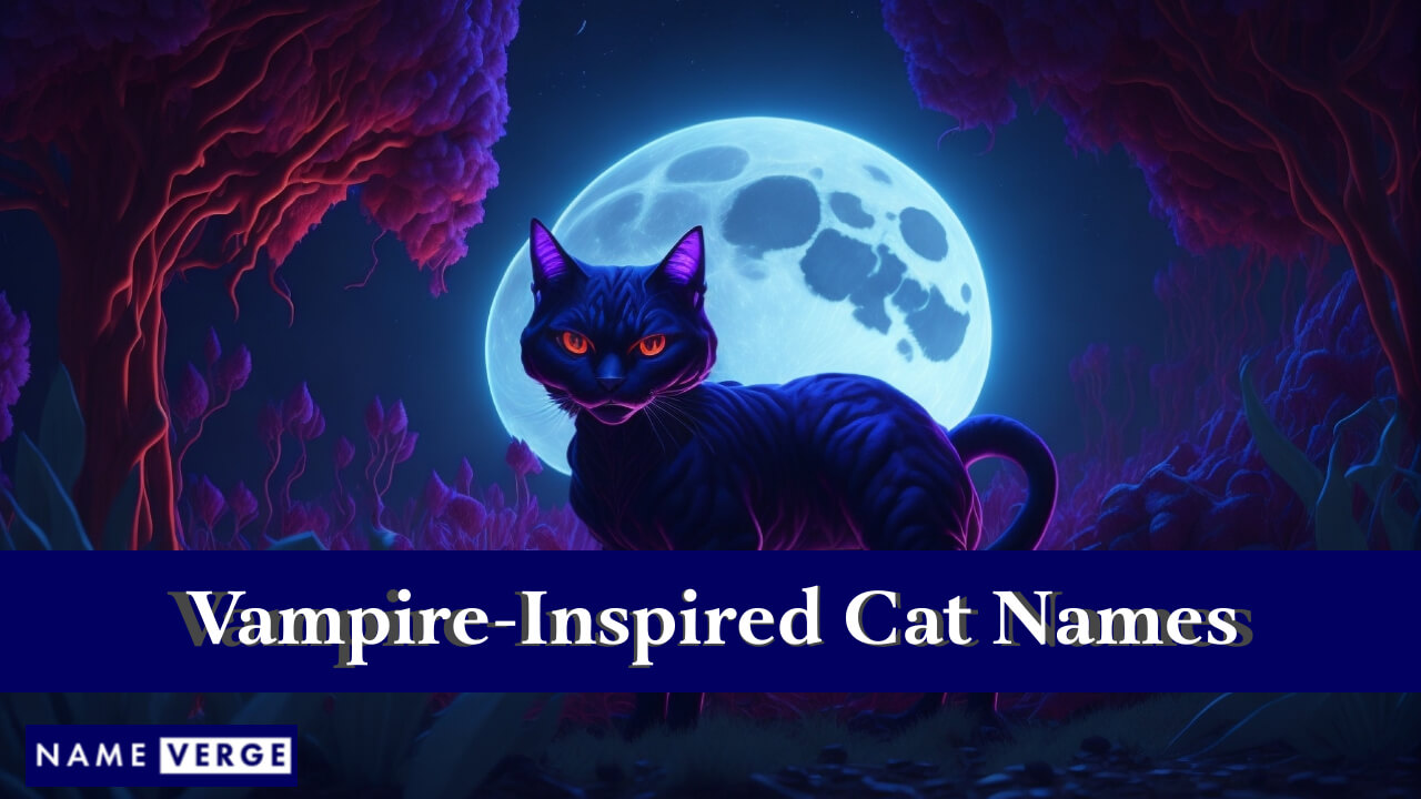 Vampire-Inspired Cat Names